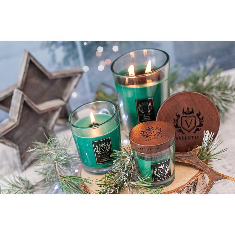 Vellutier small candle, Siberian Pine Forest