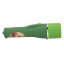 Dino World brown T-Rex pocket flashlight