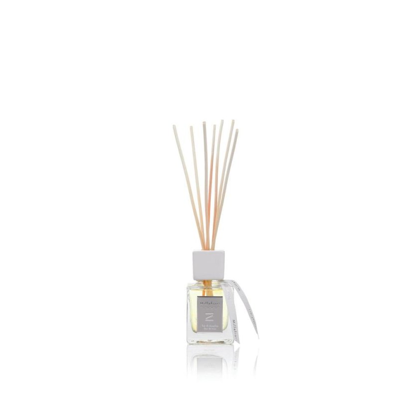 Millefiori Milano Zona Diffuser, Fior di Muschio, 100 ml