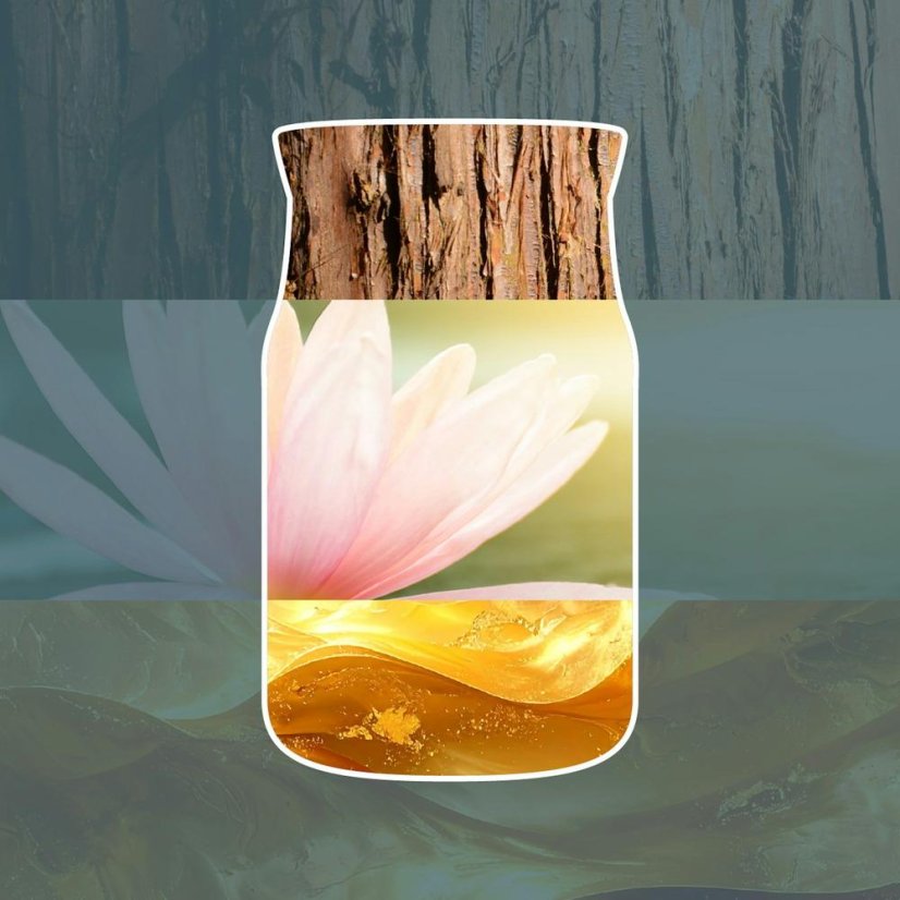 Yankee candle Signature Small Candle, Bayside Cedar