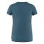 Arctic Fox Print T-shirt W
