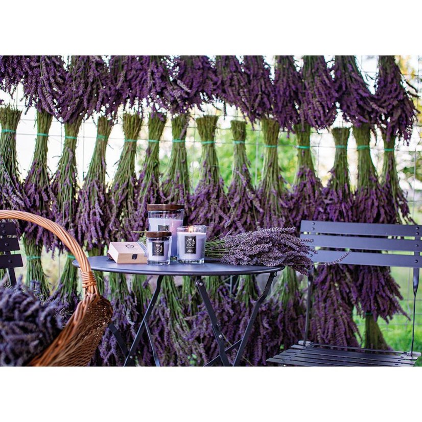 Kerze Vellutier klein, Hills of Provence