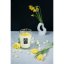 Vellutier nagy gyertya, Midnight Toast