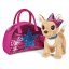 Der Hund in der Tasche Simba