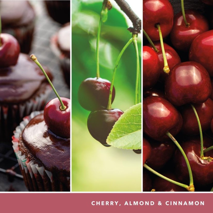 Yankee candle Signature Kerze, groß, Black Cherry