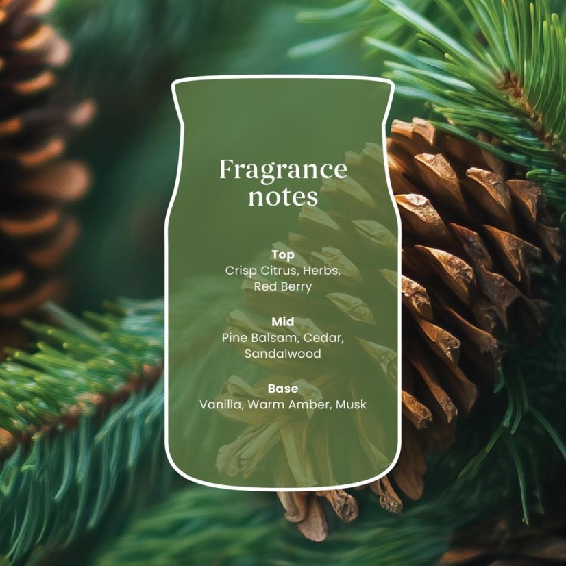 Yankee candle Signature Small, Balsam & Cedar Fireside