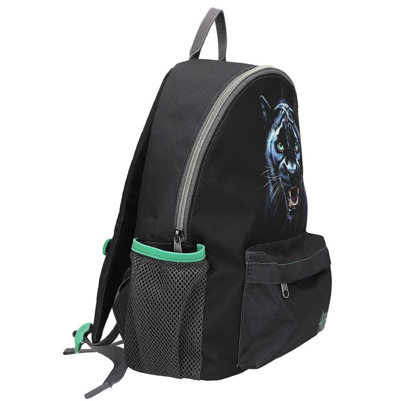 Adventure World Panther school backpack