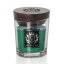 Vellutier small candle, Siberian Pine Forest