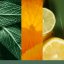 Duftwachs Yankee candle 22 g, Sage & Citrus