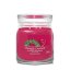 Yankee candle Signature közepes méretű gyertya, Sparkling Winter