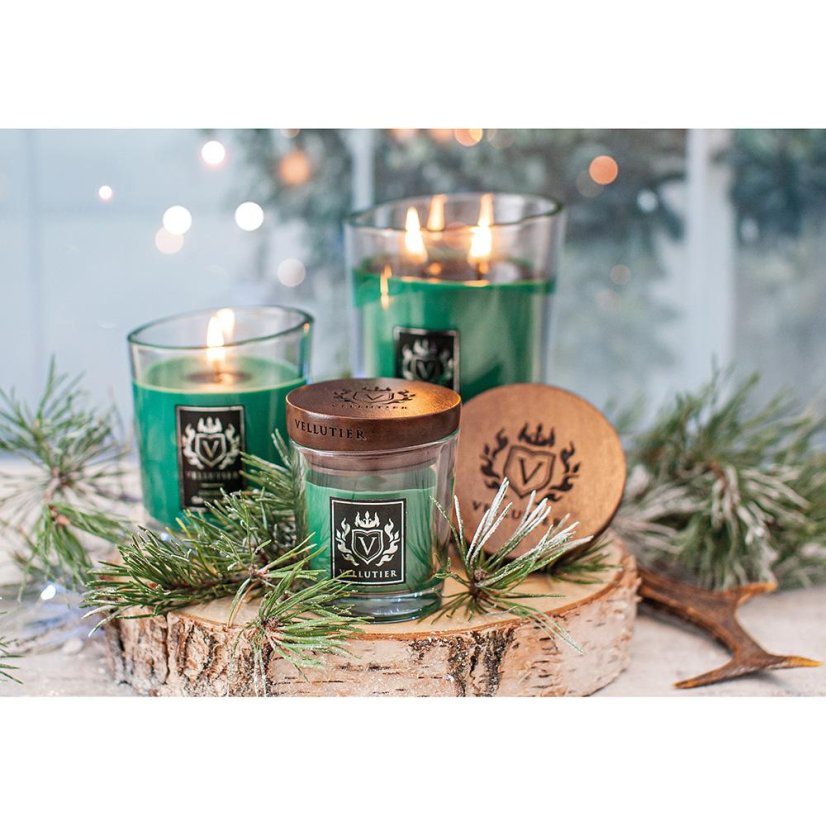 Vellutier small candle, Siberian Pine Forest