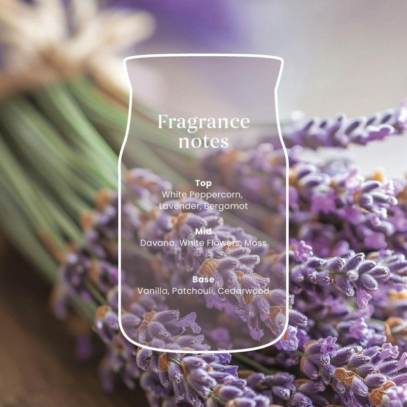 Yankee candle Signature Small Candle, Dried Lavender & Oak