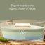 WoodWick Trilogy-Kerze im Schiffsglas, Verdant Woods