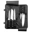 Messerset Lion Sabatier International Pluton 021485