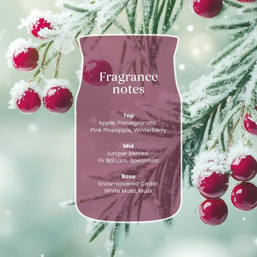 Yankee candle Signature Small, Sparkling Winterberry