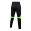Dámské kalhoty Nike Dri-FIT Academy Pro - Farbe: Grün, Größe: M