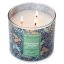 Świeca Colonial Candle Deco, Peppered Juniper