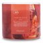 Colonial Candle Travel Collection gyertya, Canyon Spice