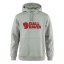 Logo Hoodie M