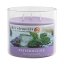 Svíčka Five Elements Patchouli Ice