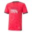 Gyermek mezőnyjátékos mez Puma Neymar Jr Graphic Jersey - Szín: Szürke, Méret: 128
