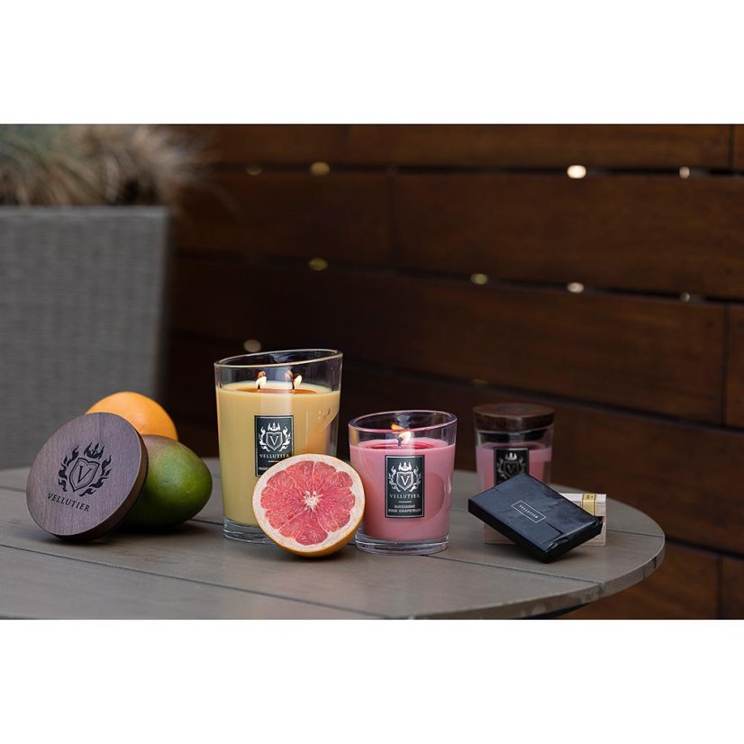 Vellutier Kerze klein, Succulent Pink Grapefruit