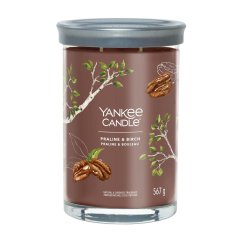 Yankee candle Signature Tumbler Kerze, groß, Praline & Birch