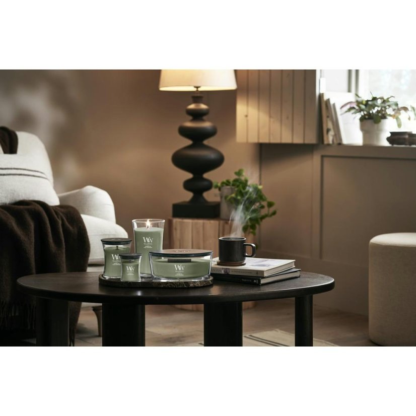 WoodWick Boat Candle, Verdant Fig