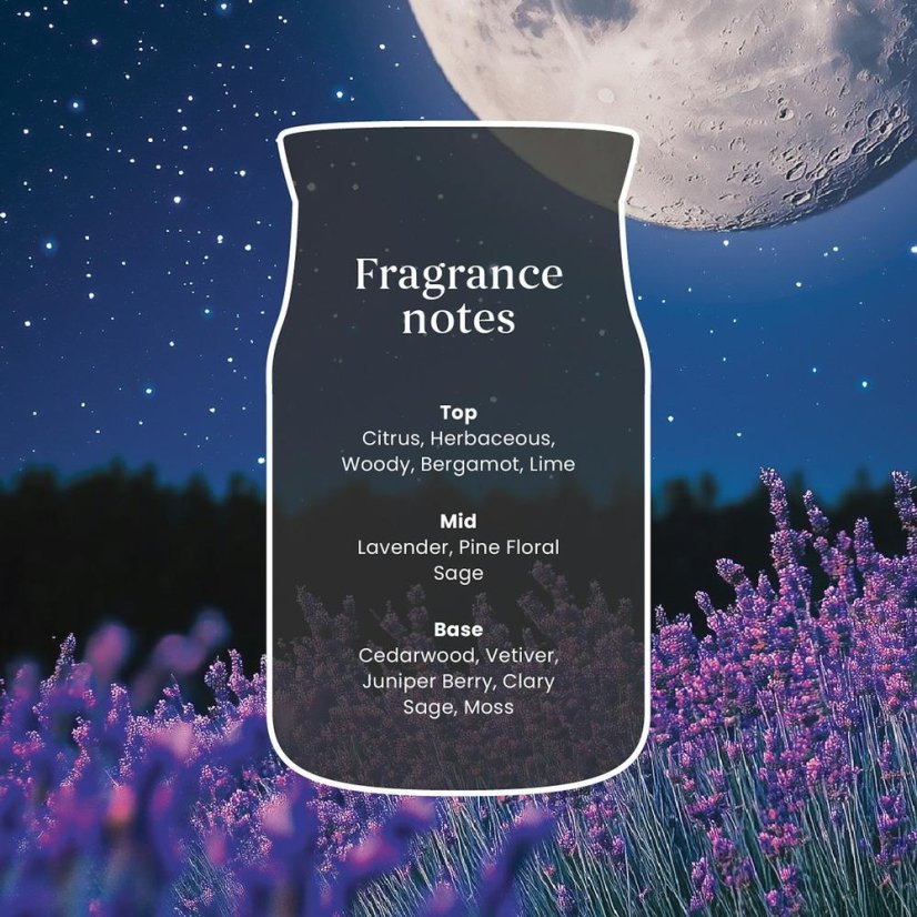 Yankee candle Signature Small Candle, Midsummer’s Night