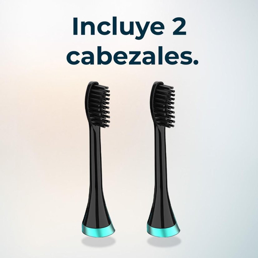 Zahnirrigator Cecotec Bamba ToothCare 4437 schwarz
