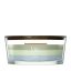 WoodWick Trilogy-Kerze im Schiffsglas, Verdant Woods