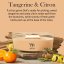 WoodWick hajó alakú gyertya, Tangerine & Citron