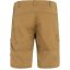 Abisko Shorts M