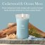 WoodWick-Kerze, groß, Cedarwood & Ocean Moss