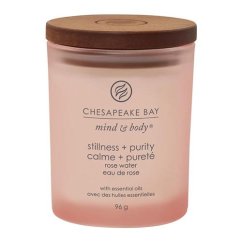 Svíčka Chesapeake Bay Candle malá, Stillness & Purity