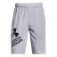 Under Armour Prototype 2.0 Logo Boys' Shorts - Color: Black, Size: M