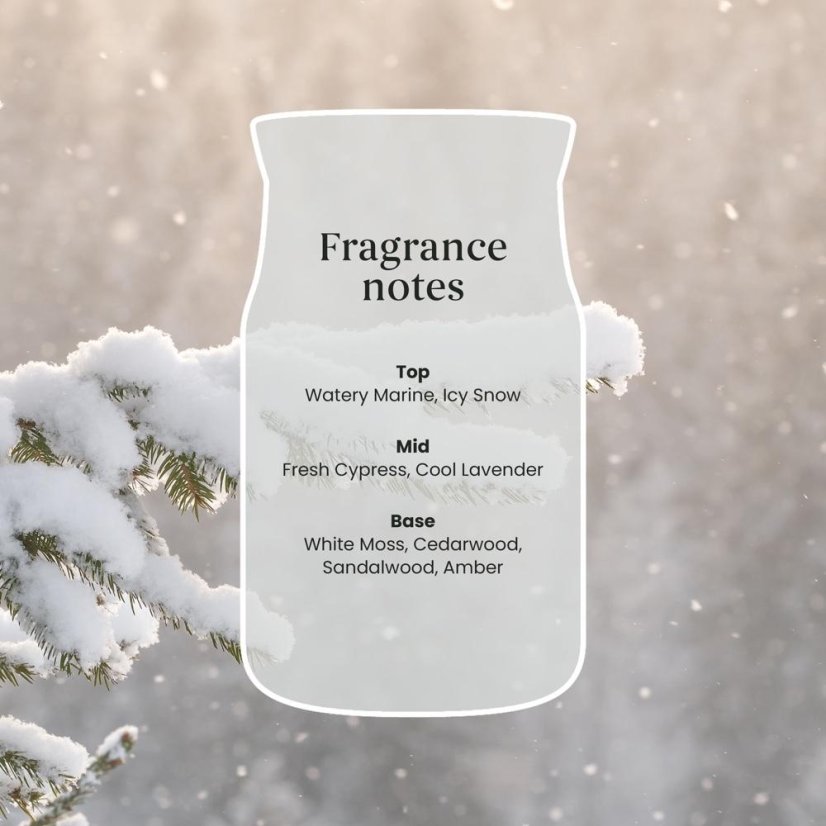 Yankee candle Signature Small Candle, Snow Kissed Pine