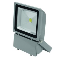 Reflektor Eurolite IP FL-100, COB 6400K, 120°