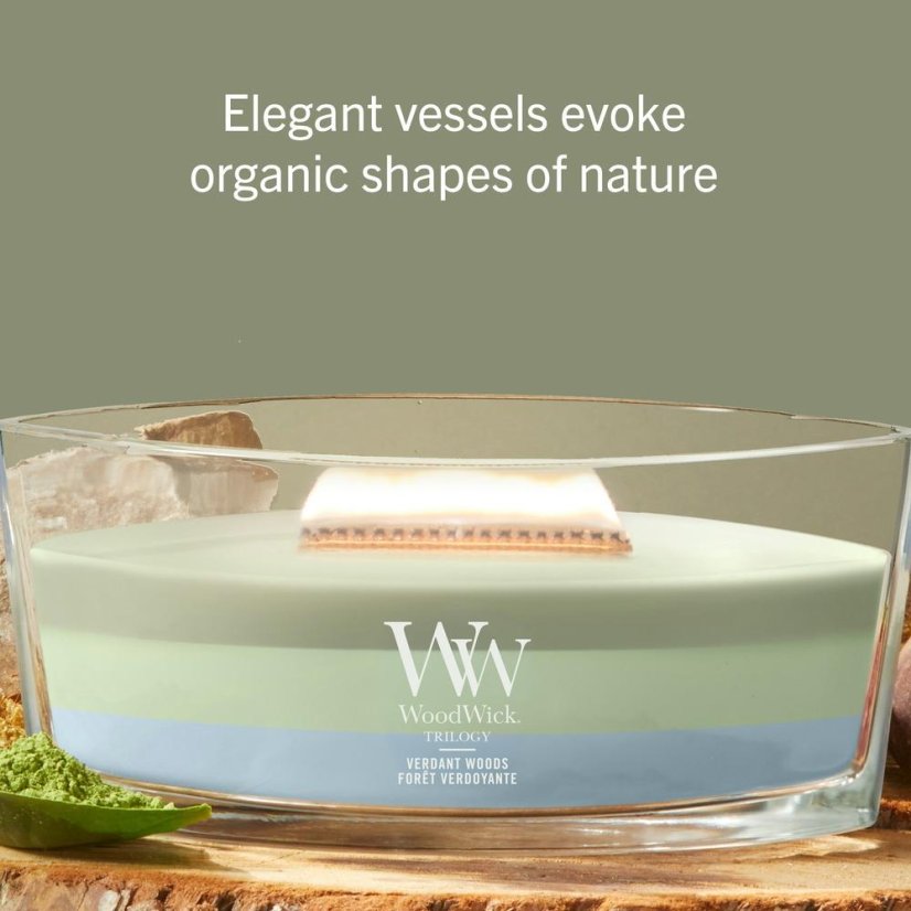 WoodWick Trilogy-Kerze im Schiffsglas, Verdant Woods