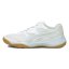 Pánská sálová obuv Puma Solarflash - Barva: Bílá, Velikost: 44.5