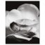Kniha Anne Geddes Mých Prvních Pět Let, Flower X-Large