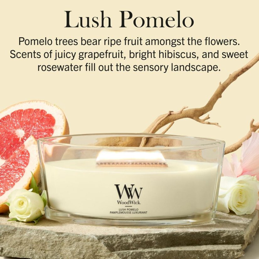 WoodWick Boat Candle, Lush Pomelo