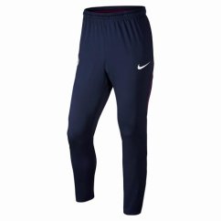 Pánské kalhoty Nike Dry Squad MCFC