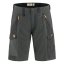 Abisko Shorts