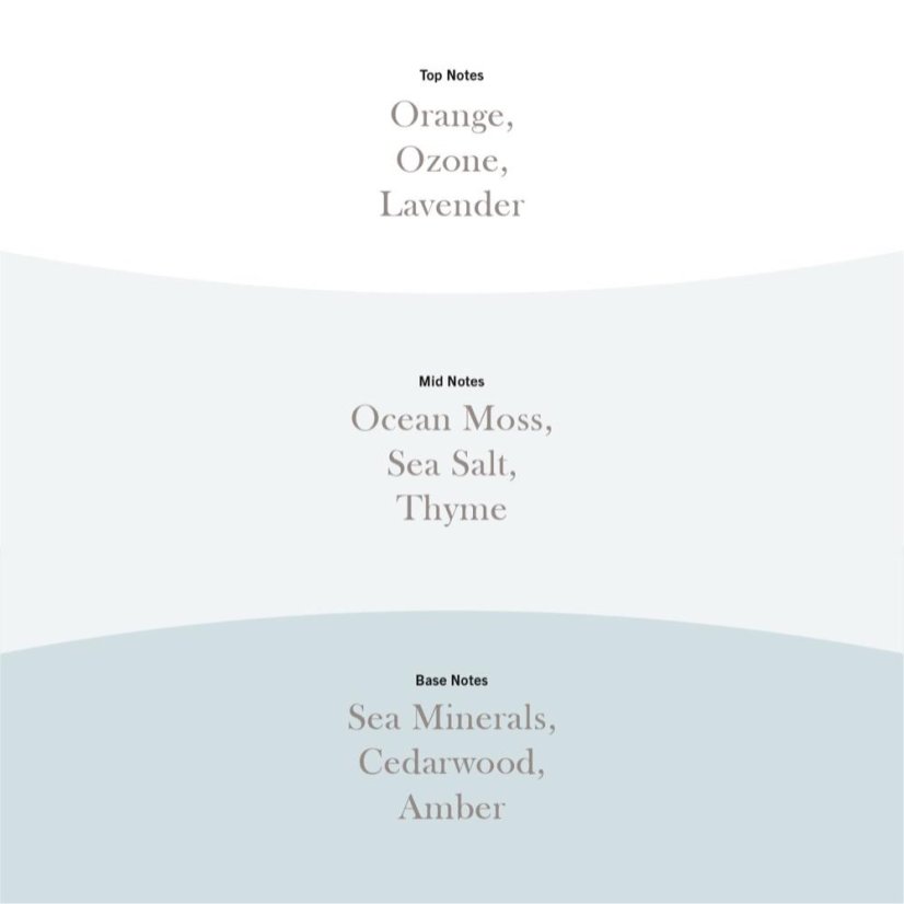 WoodWick-Kerze, groß, Cedarwood & Ocean Moss