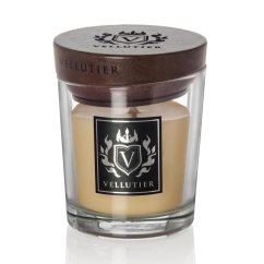 Vellutier small candle, Madagascar Adventure