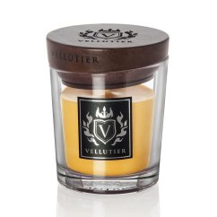 Vellutier small candle, Tropical Voyage