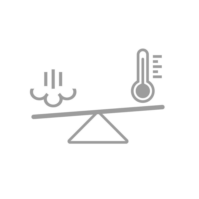 Dampfbügeleisen Imetec Intellifast 9030 grau