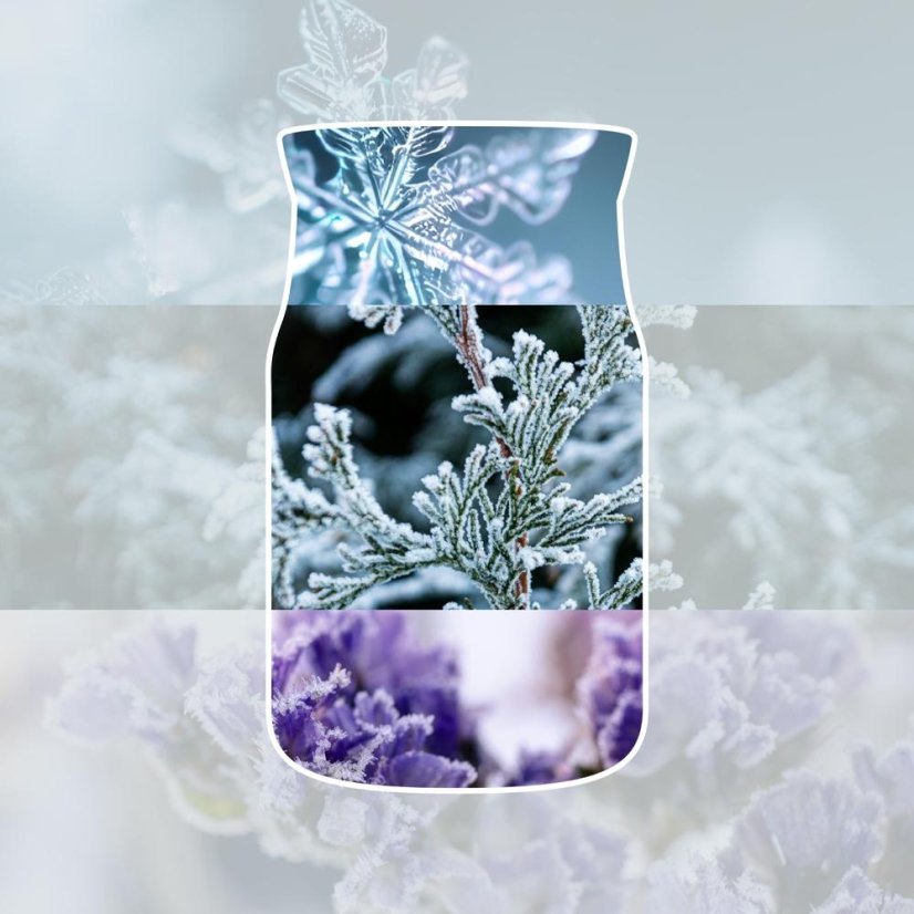 Yankee candle Signature Large, Snow Kissed Pine