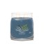 Yankee candle Signature Medium Candle, Bayside Cedar